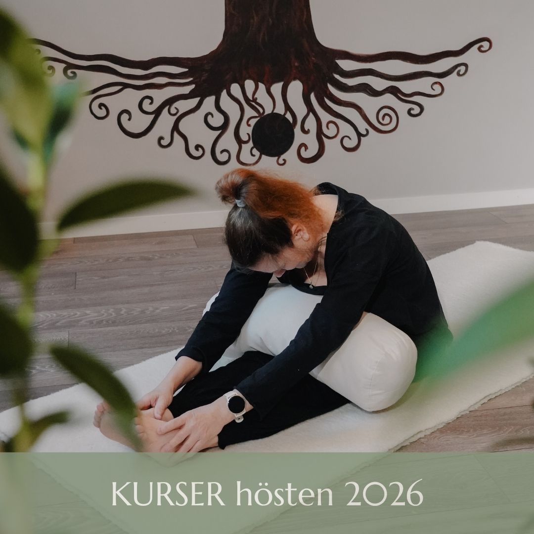 Yogakurser hösten 2026 hos OnLife Yoga i Kallhäll, Järfälla. Mjuk yoga, återhämtning och soundhealing i små grupper.