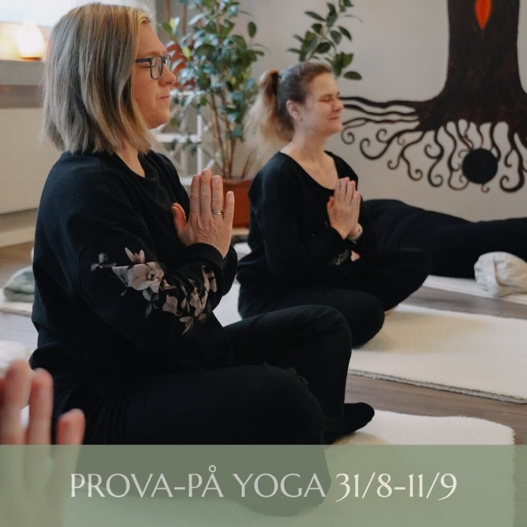 Prova på yoga 31 augusti–11 september hos OnLife Yoga & Hälsostudio i Kallhäll, Järfälla. Mjuk och inkännande yoga i små grupper för dig som vill testa inför höstens kurser.